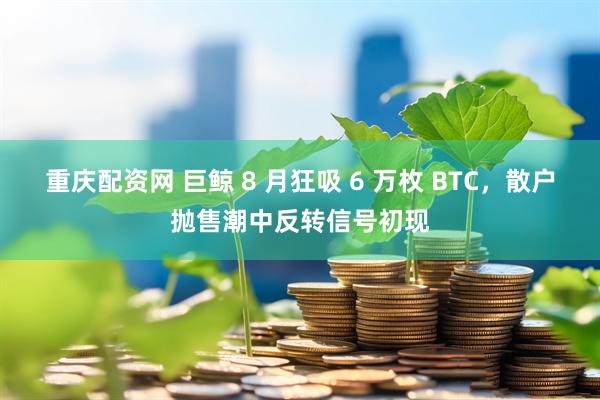 重庆配资网 巨鲸 8 月狂吸 6 万枚 BTC，散户抛售潮中反转信号初现